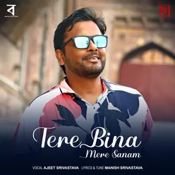 Tere Bina Mere Sanam